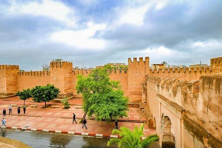 Taroudant & Tiout Oasis Day Trip from Agadir — Souks, Kasbahs & Tree‑Climbing Goats