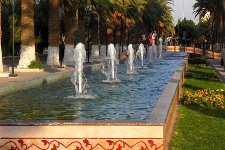 Taroudant & Tiout Oasis Day Trip from Agadir — Souks, Kasbahs & Tree‑Climbing Goats photo 4