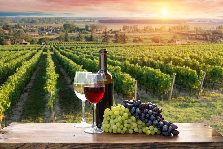 Lefkara & Machairas Day Tour: Cheese, Wine, Lace and Village Life from Larnaca photo 2