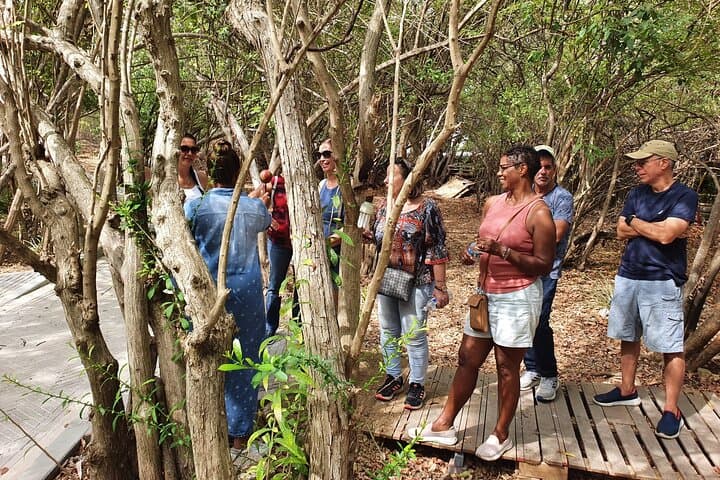 Landhuis Bloemhof Guided Art, Heritage & Nature Tour in Curaçao photo 5