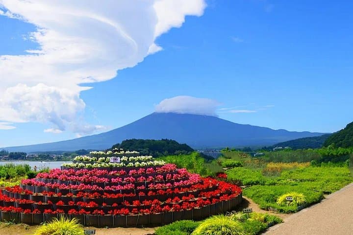 Mt Fuji Day Tour: Chureito Pagoda, Oshino Hakkai & Kawaguchiko Highlights photo 3