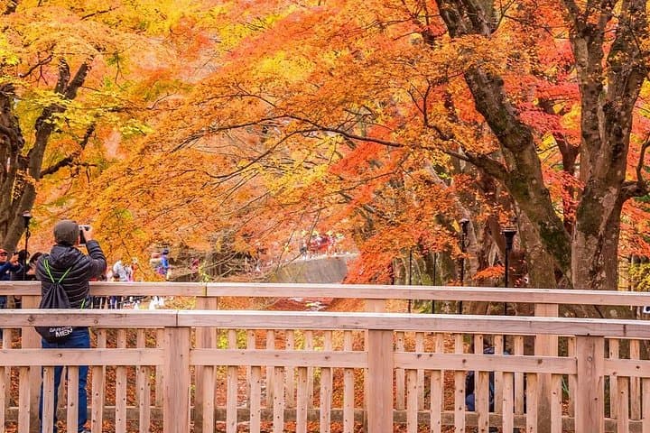 Mt Fuji Day Tour: Chureito Pagoda, Oshino Hakkai & Kawaguchiko Highlights photo 2