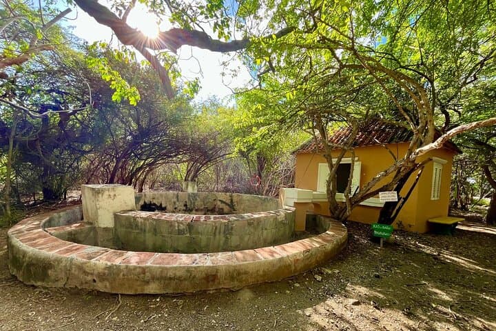 Landhuis Bloemhof Guided Art, Heritage & Nature Tour in Curaçao photo 4