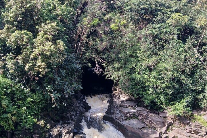 Private Hilo Shore Excursion to Volcanoes National Park — Full-Day Small-Group Tour photo 3