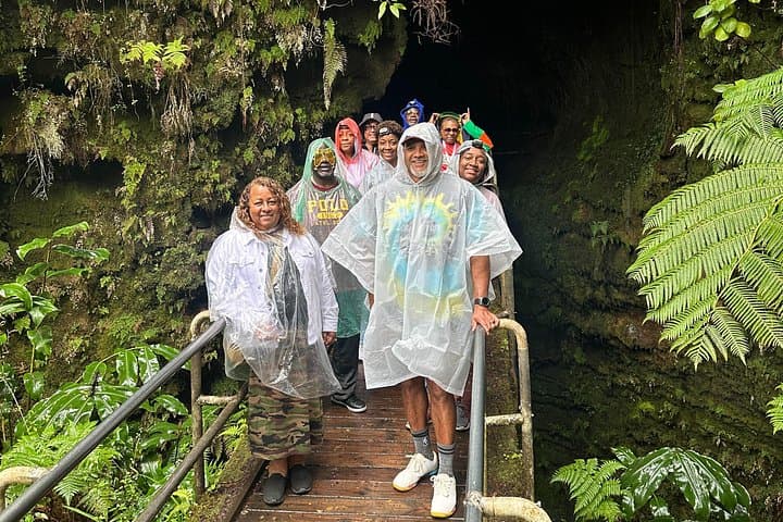 Private Big Island 14-Person Chauffeur Service — Custom Group Island Tours photo 5