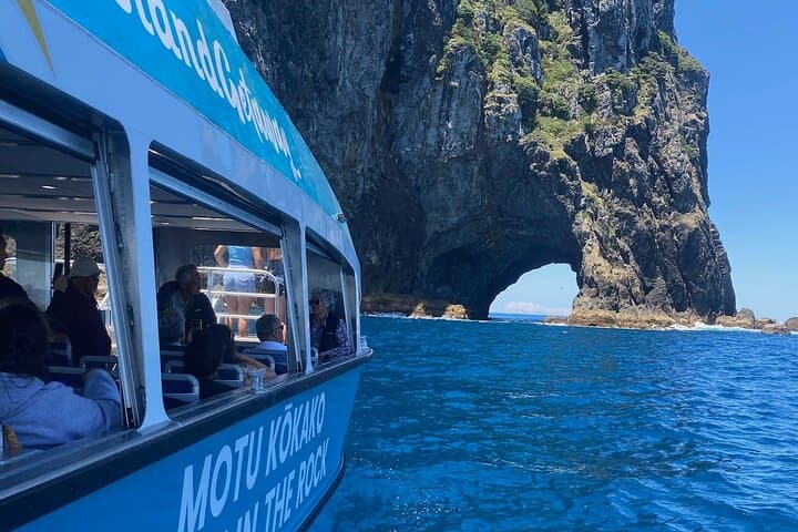 Hole in the Rock Cruise & Island Stopover — Half‑Day Bay of Islands Adventure from Paihia photo 2