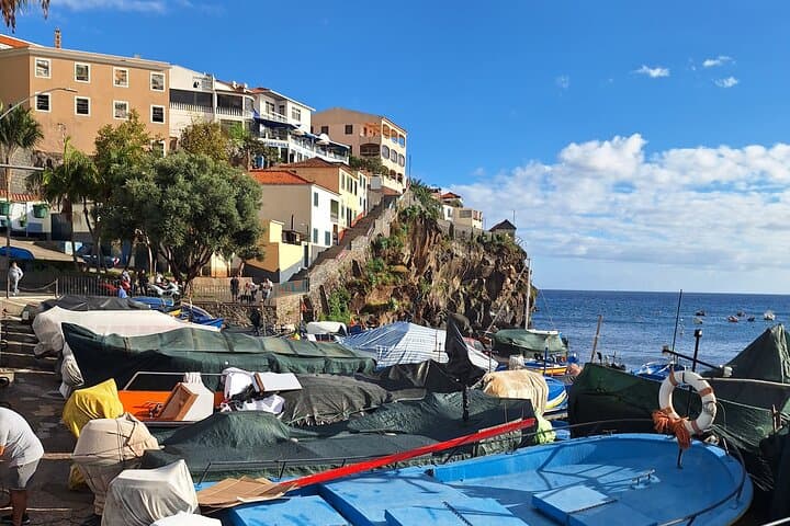 Madeira Highlights: Monte Toboggan, Tropical Garden & Funchal Cable Car photo 2