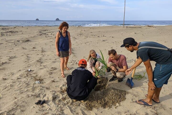 Sukamade Turtle Conservation: 2-Day Volunteer Experience in Meru Betiri photo 6