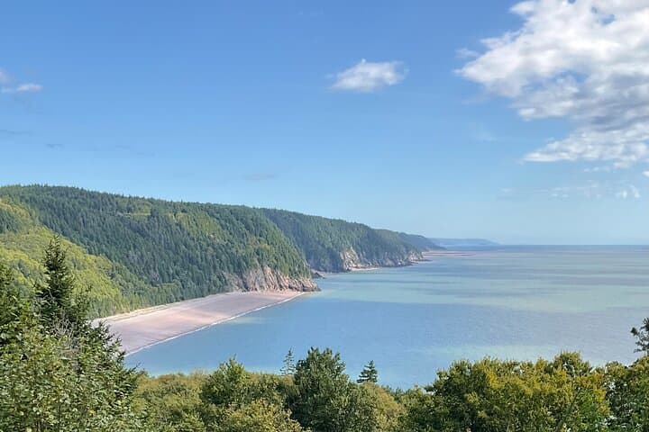 Half-Day Bay of Fundy: Reversing Falls, Saint Martins Sea Caves & Fundy Trail Highlights