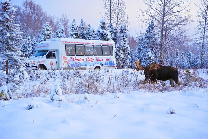 Exploring Anchorage’s Winter Wonders: A 3-Hour Cultural and Nature Tour