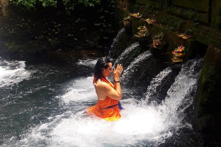 Best of Ubud: Holy Water Cleansing, Rice Fields & Waterfalls Day Tour photo 1
