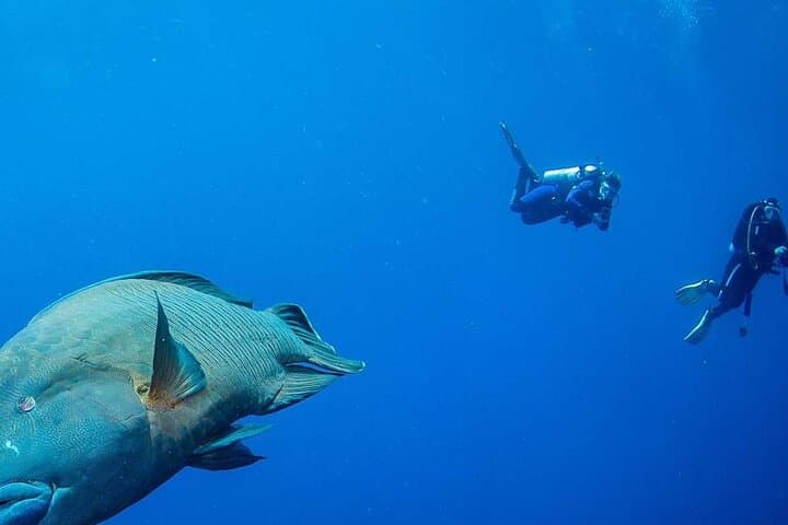 Sunrise ATV and White Island Boat Trip in Sharm El Sheikh — Quad, Snorkel & Ras Mohamed photo 4