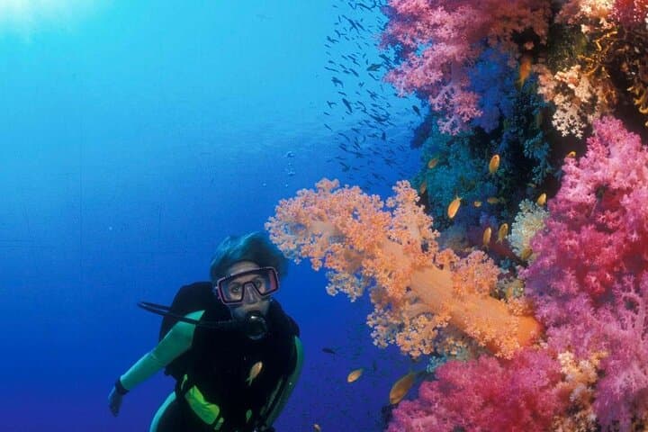 Sunrise ATV and White Island Boat Trip in Sharm El Sheikh — Quad, Snorkel & Ras Mohamed photo 5
