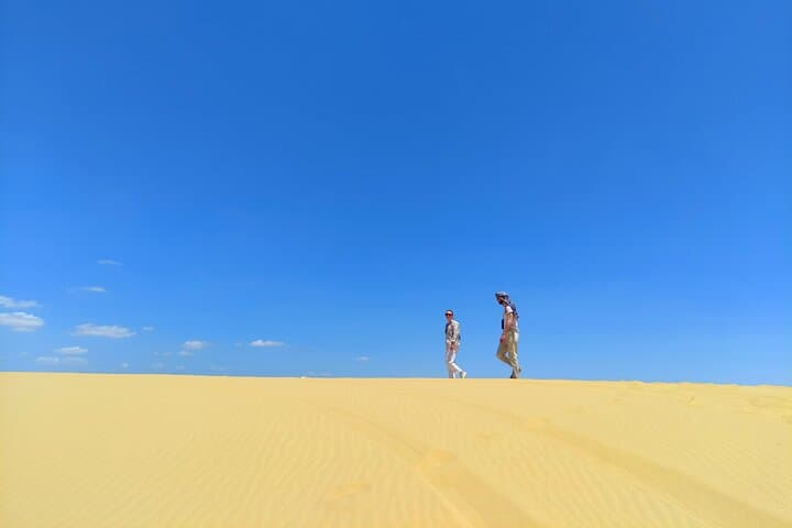 Fayoum Oasis Adventure: Wadi El-Rayan, Magic Lake & Valley of the Whales photo 5