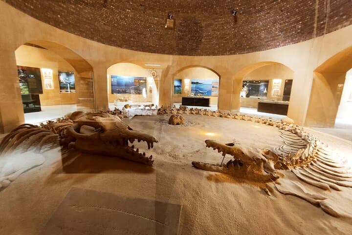 Fayoum Oasis Adventure: Wadi El-Rayan, Magic Lake & Valley of the Whales photo 3