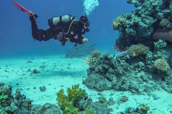 Full-Day Scuba Diving & Snorkeling in Hurghada: Red Sea Day Trip Guide photo 5