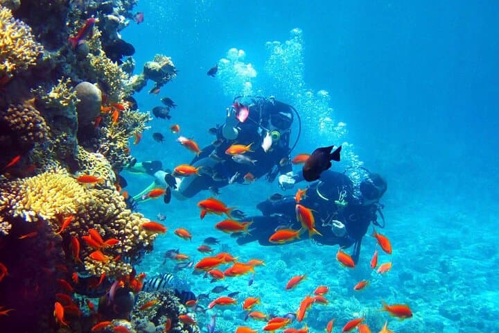 Full-Day Scuba Diving & Snorkeling in Hurghada: Red Sea Day Trip Guide photo 4