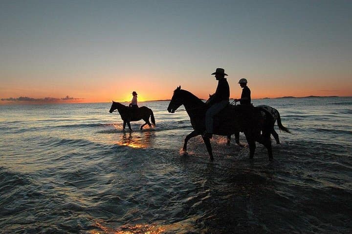 Horseback Riding Along Sharm El Sheikh Beach and Desert — 2-Hour Coastal Ride photo 1