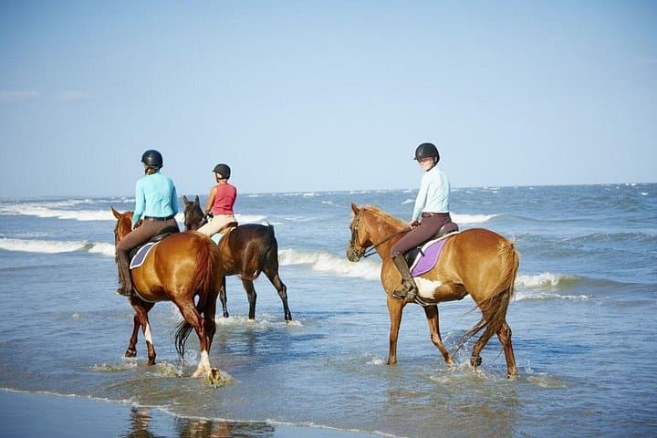 Horseback Riding Along Sharm El Sheikh Beach and Desert — 2-Hour Coastal Ride photo 4