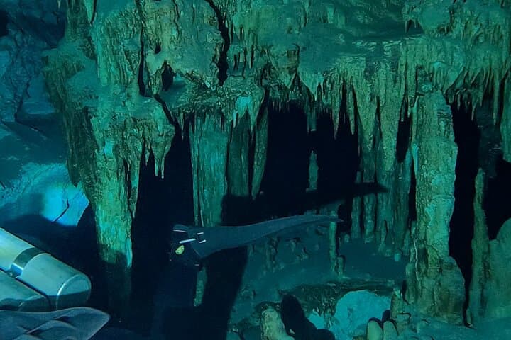 Cavern Scuba at Taak Bi Ha & Taak Be Luum — Guided Dives in Riviera Maya photo 6