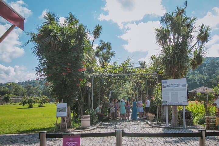 Waterfalls and Forests of Batumi — Half-Day Waterfall & Wine Tour photo 6