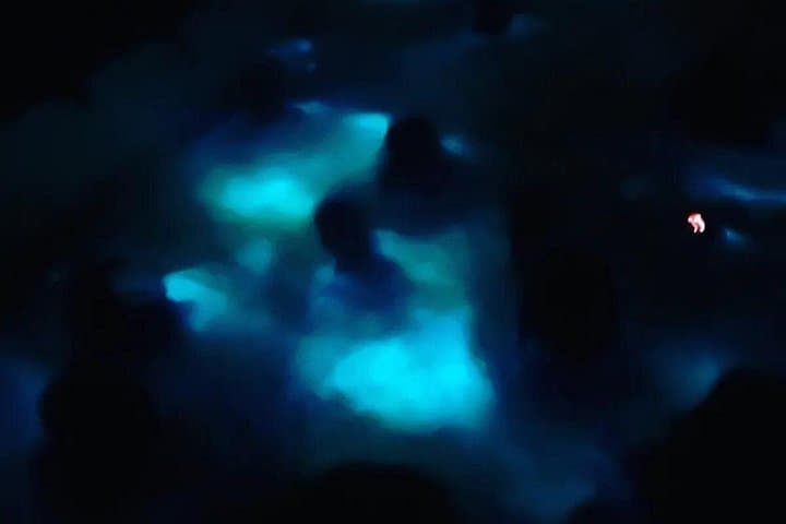 Bioluminescent Night Kayak Tour near Puerto Escondido photo 1