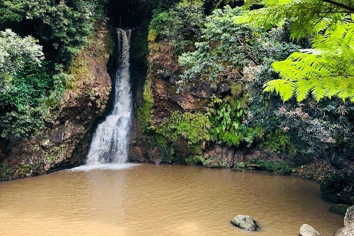 Private South Mauritius Tour — La Vallée des Couleurs, Chamarel & Gris Gris Day Trip