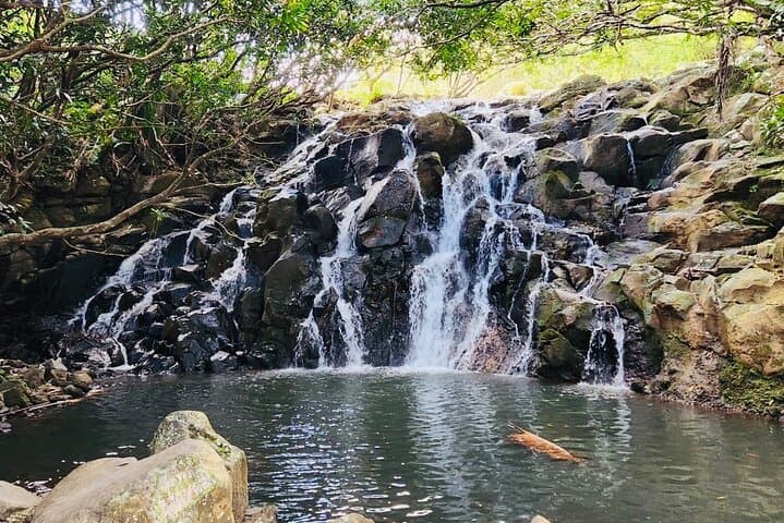 Private South Mauritius Tour — La Vallée des Couleurs, Chamarel & Gris Gris Day Trip photo 5