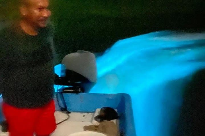 Bioluminescence Lagoon Tour near Puerto Escondido — Night Boat, Mezcal & Coffee