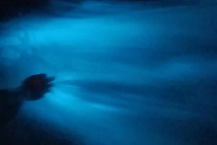 Bioluminescence Lagoon Tour near Puerto Escondido — Night Boat, Mezcal & Coffee photo 4