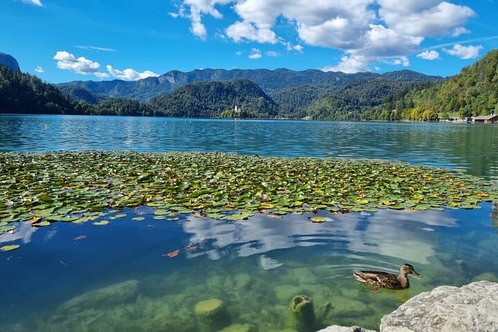 Day Trip to Lake Bled and Ljubljana: Small-Group Tour from Zagreb photo 4