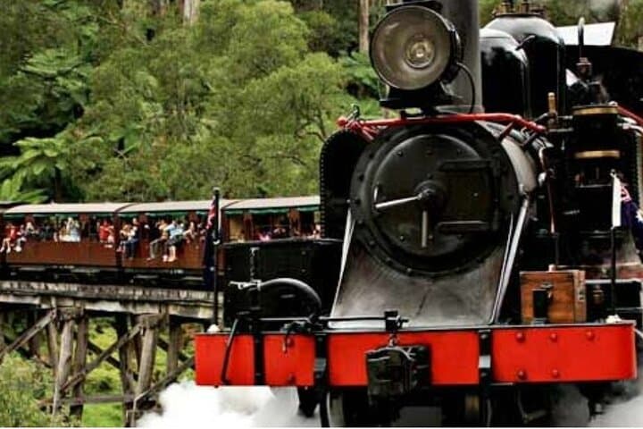 From Kangaroos to Sea Stacks: 5-Day Melbourne, Grampians & Great Ocean Road Scenic Tour photo 5