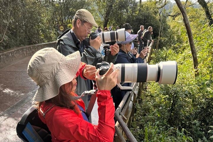 2-Day Private Iguazu Falls Experience: Brazil & Argentina Highlights photo 4