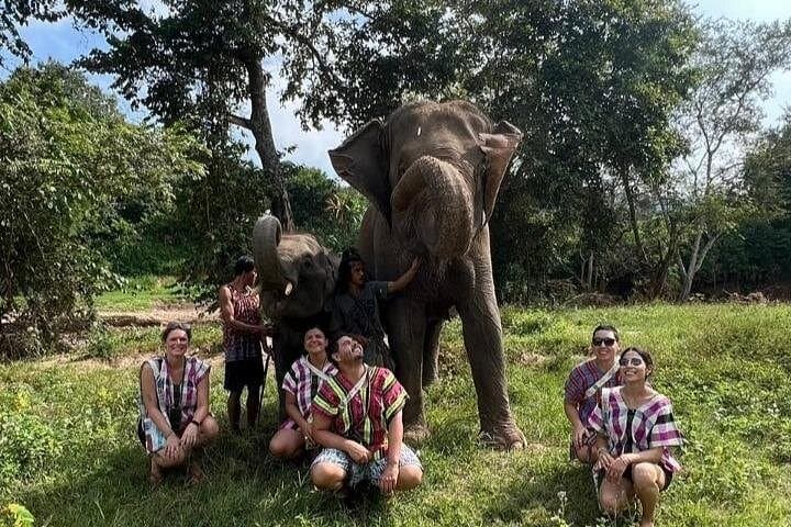 Doi Inthanon Elephant Care Camp & Pha Dok Siew Trek — Full-Day Tour from Chiang Mai photo 1