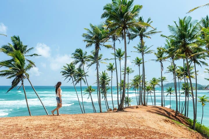 Sri Lanka in Four Days: Full-Circle Beaten Path Tour from Colombo