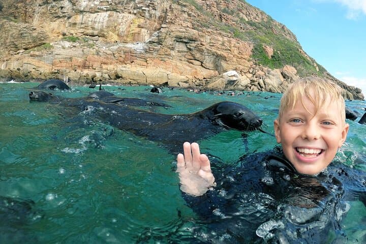 Swim with Cape Fur Seals at Robberg Nature Reserve, Plettenberg Bay