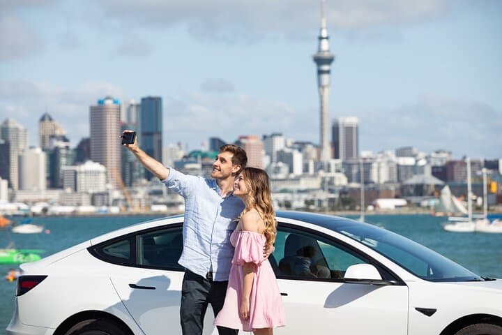 Auckland Essentials: 90-Minute Private City Tour by Car or Van