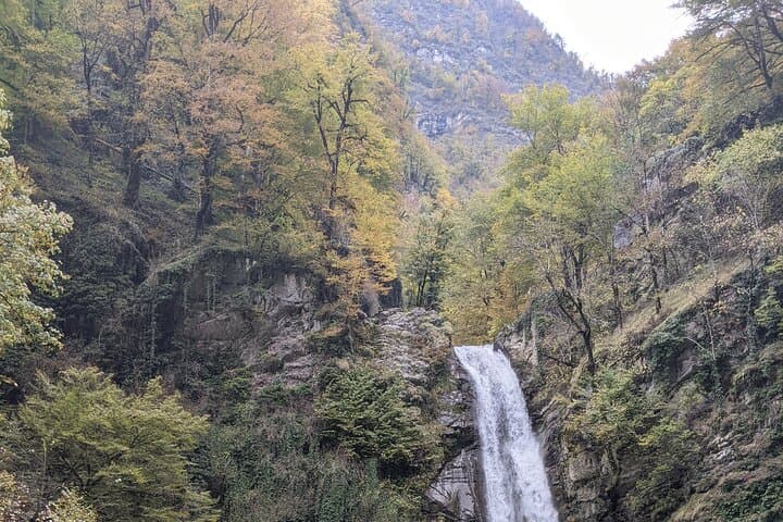 Kakheti Wine & Culture Day Tour: Sighnaghi, Wineries, and Caucasus Views