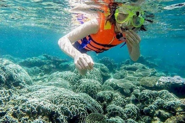 Mui Ne to Vinh Hy Bay Snorkeling and Hidden Waterfall Adventure photo 3