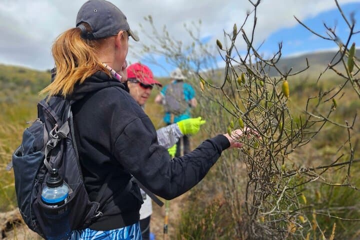 Fossil Hills Wine Walk: McGregor Valley Hike, Fossils & Wine Tasting photo 4