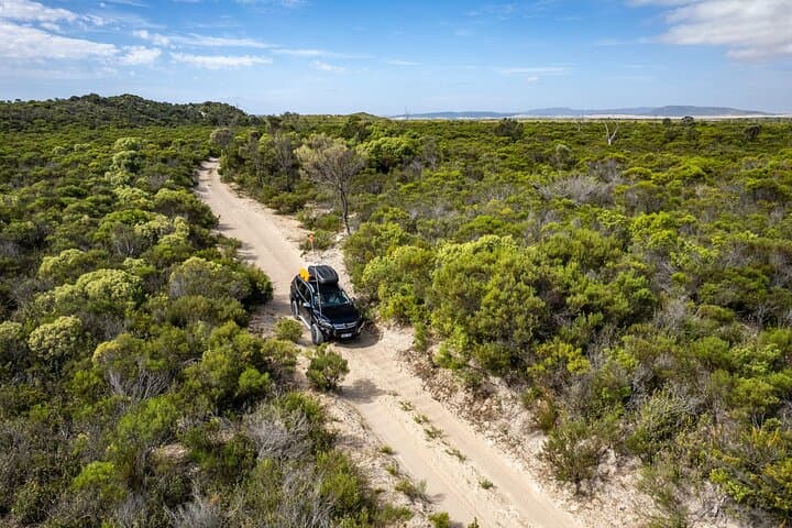 Port Lincoln Full-Day 4WD and Wildlife Exploration — Lincoln National Park & Whalers Way photo 3