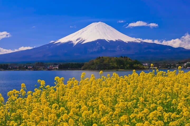 Private Mt. Fuji & Hakone Day Tour from Tokyo — Kawaguchiko, Ropeway & Oshino Hakkai photo 3