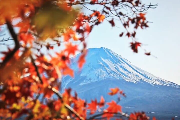 Private Mt. Fuji & Hakone Day Tour from Tokyo — Kawaguchiko, Ropeway & Oshino Hakkai photo 5