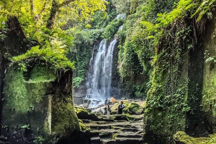Ubud Three Waterfalls & Tegalalang Rice Terraces Day Tour — Waterfalls, Canyons & Rice-Field Walks photo 3