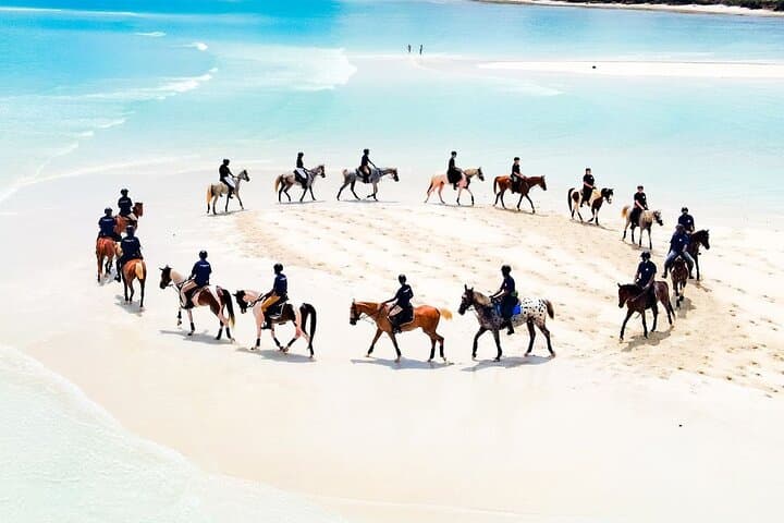 5-Day Zanzibar Delight — Private Island Adventure with Safari Blue & Mnemba Snorkel photo 4