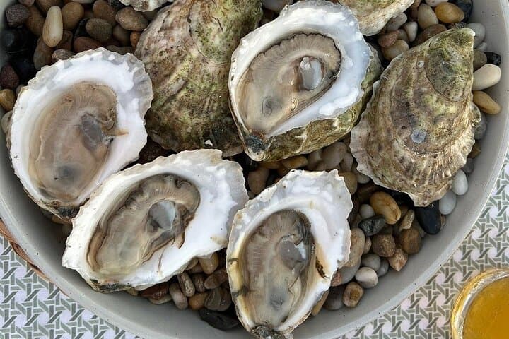 Winter Oyster and Wine Tasting at a Seaside Lodge in Phippsburg, Maine photo 3