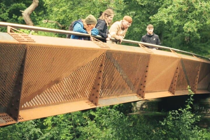 Private Tour: Scottish Highlands, Loch Lomond & Highland Coos photo 6