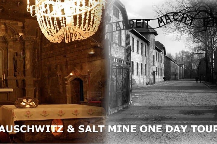 Auschwitz and Wieliczka Salt Mine Day Tour from Kraków