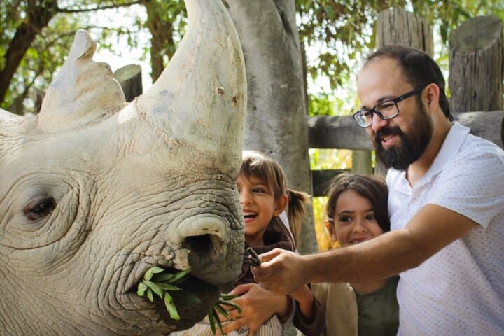 Drive-Through Africam Safari: Full-Day Wildlife Tour from Puebla photo 2