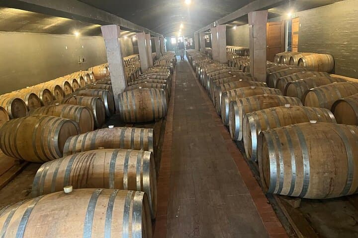 Full-Day Cape Winelands Private Tour: Wine Tastings, Views & History photo 4